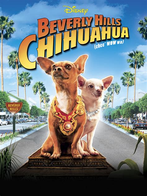 beverly hills chihuahua movie.